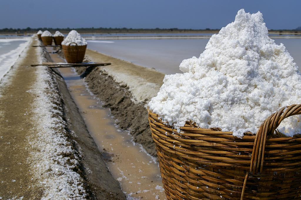 Casa de Campo Rural Es Turó Ses Salines (Mallorca)